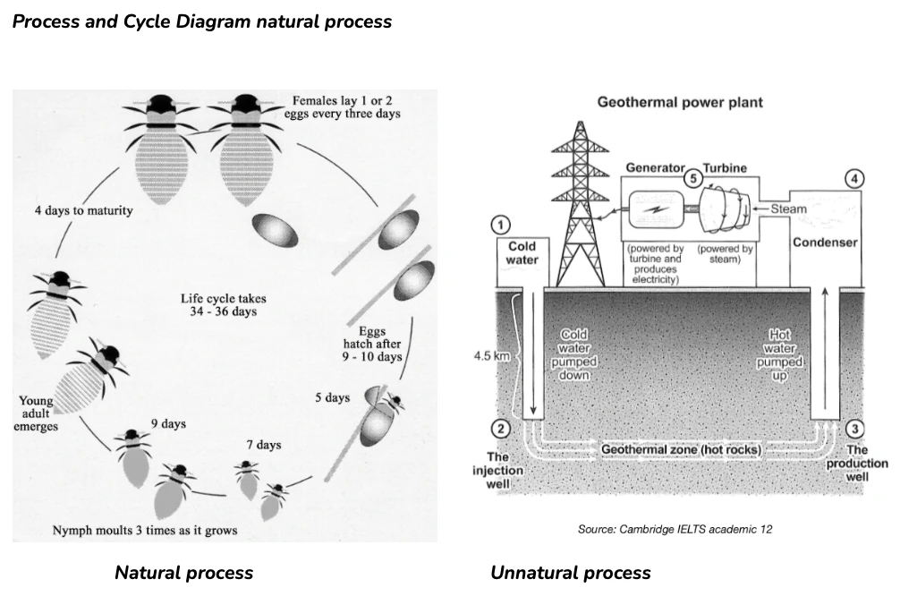 Process and Cycle Diagram natural process